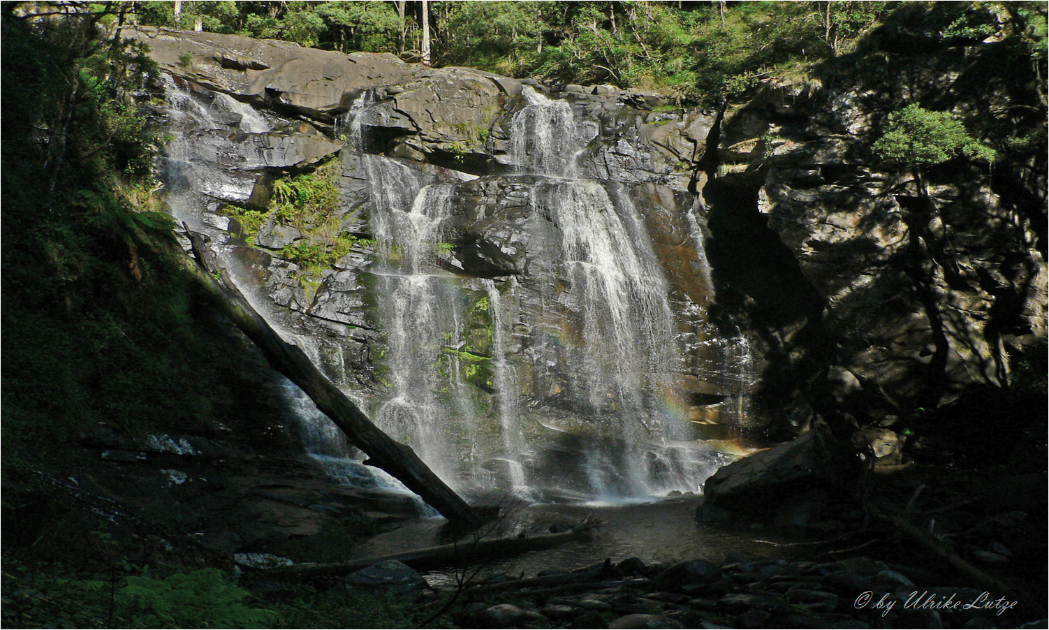 ** The Steavenson Falls / Otway National Park ** 