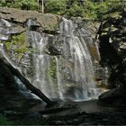 ** The Steavenson Falls / Otway National Park ** 