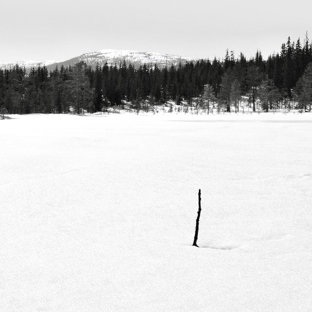 The Stick and the Mountain