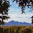 * The Stirling Ranges in the Distance / WA *