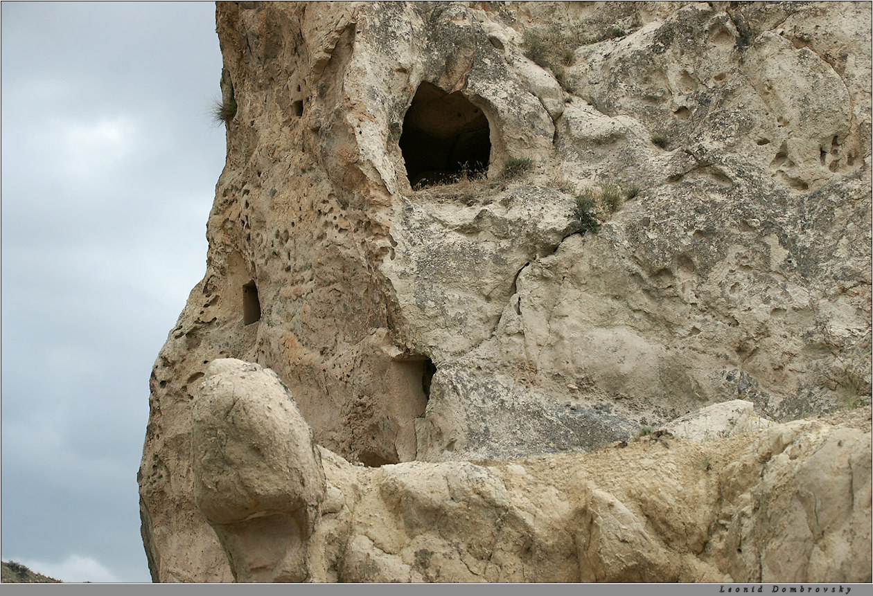 The stone skull