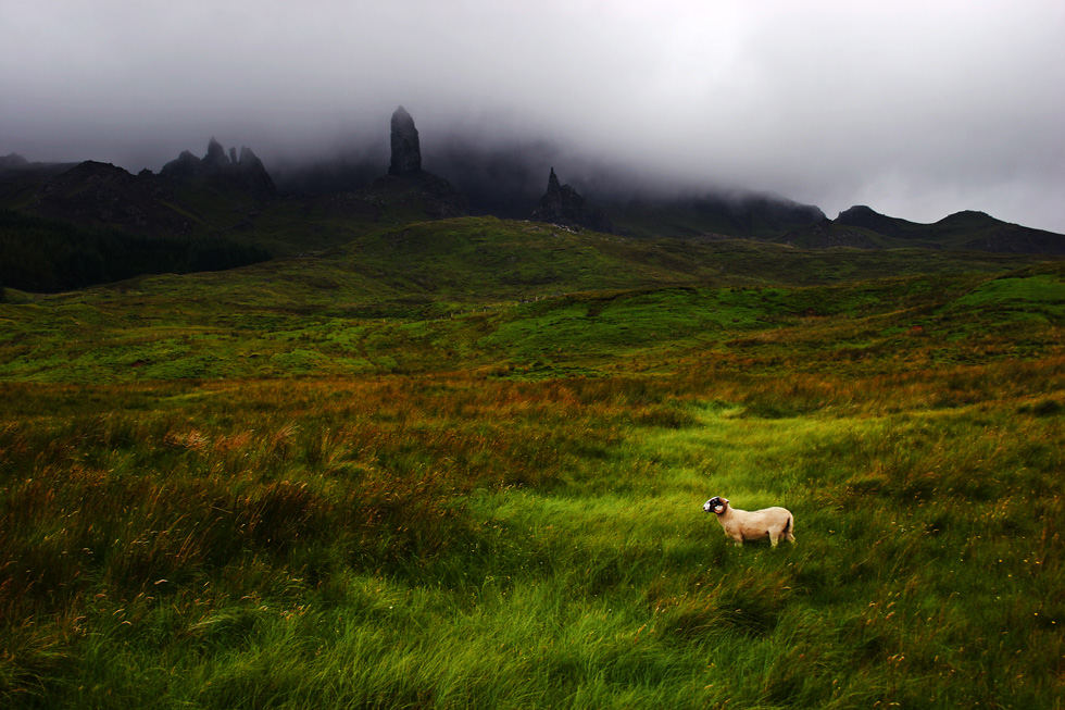 The Storr (Skye-Scotland)