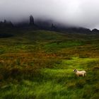 The Storr (Skye-Scotland)