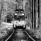 the straßenbahn