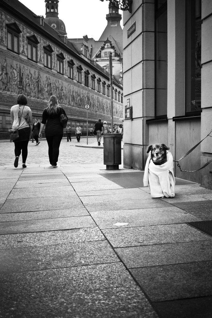 °°The Street of Dresden°°