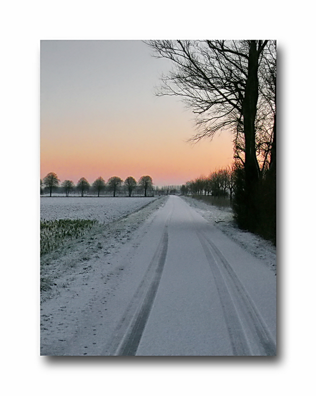 the street(dijk) before our home in Zeeuws-Vlaanderen