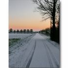 the street(dijk) before our home in Zeeuws-Vlaanderen