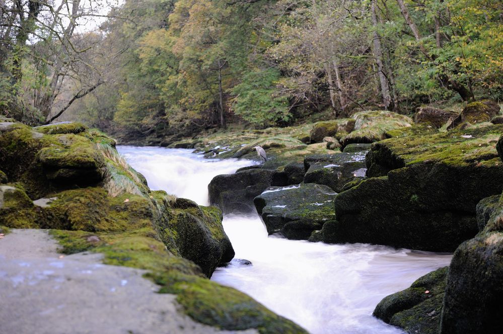 The Strid