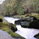 The Strid