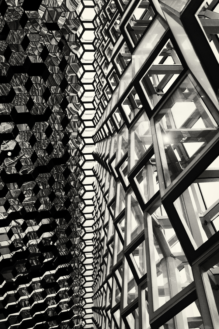 The structure of Harpa - Island