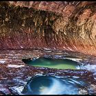 The Subway - Zion NP