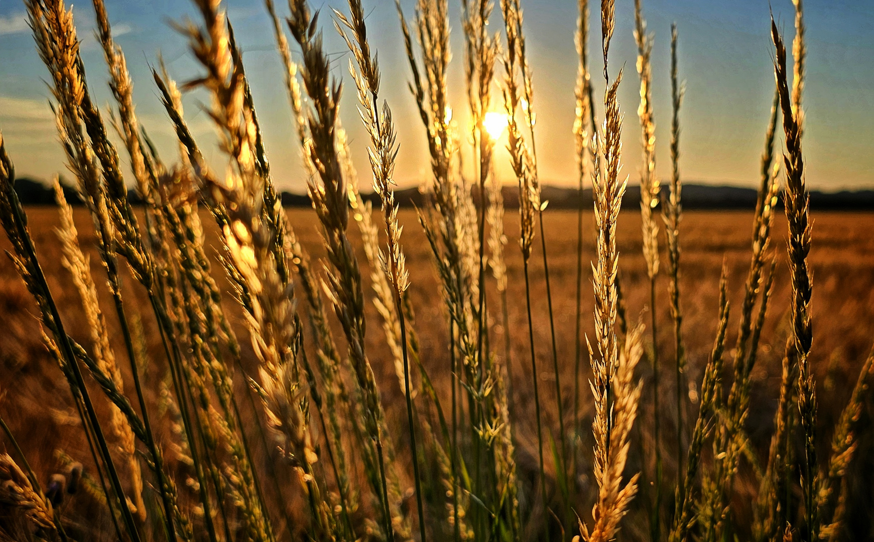 the sun always shine...