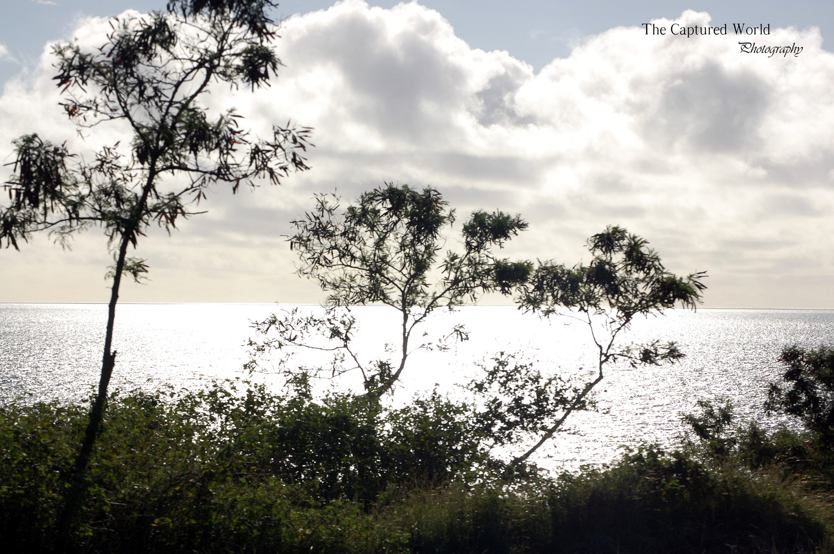 The Sun and the Sea