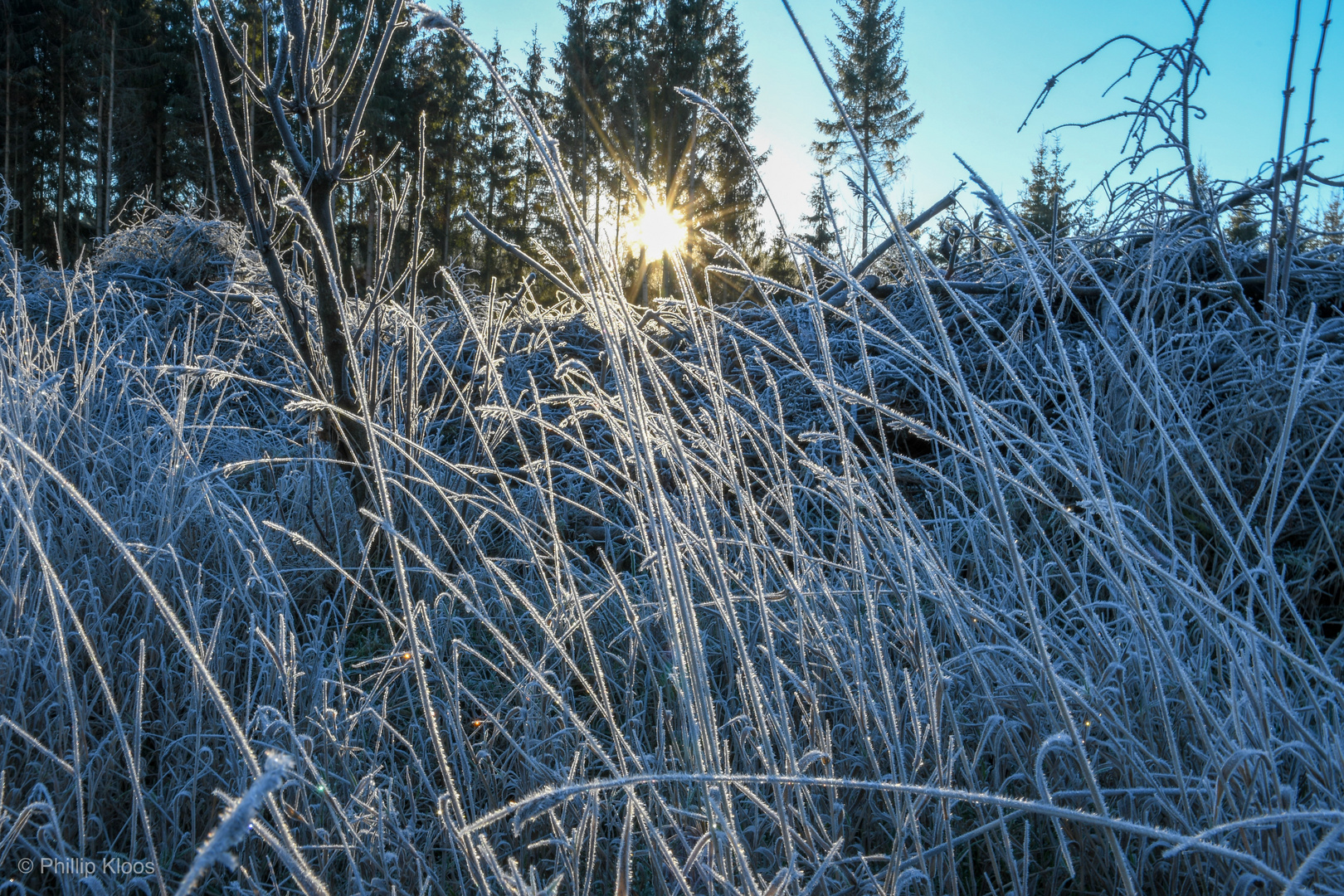 the sun comes out in the frozen grassland