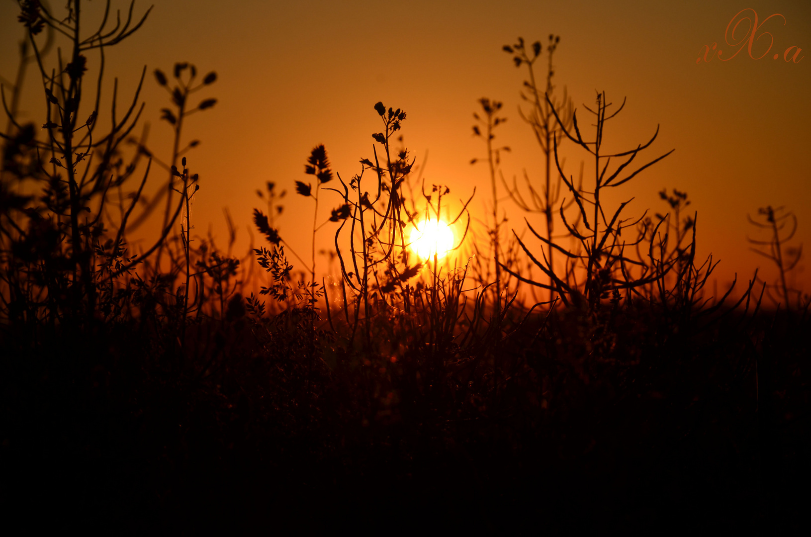 The sun goes &#8595; The ** come out.