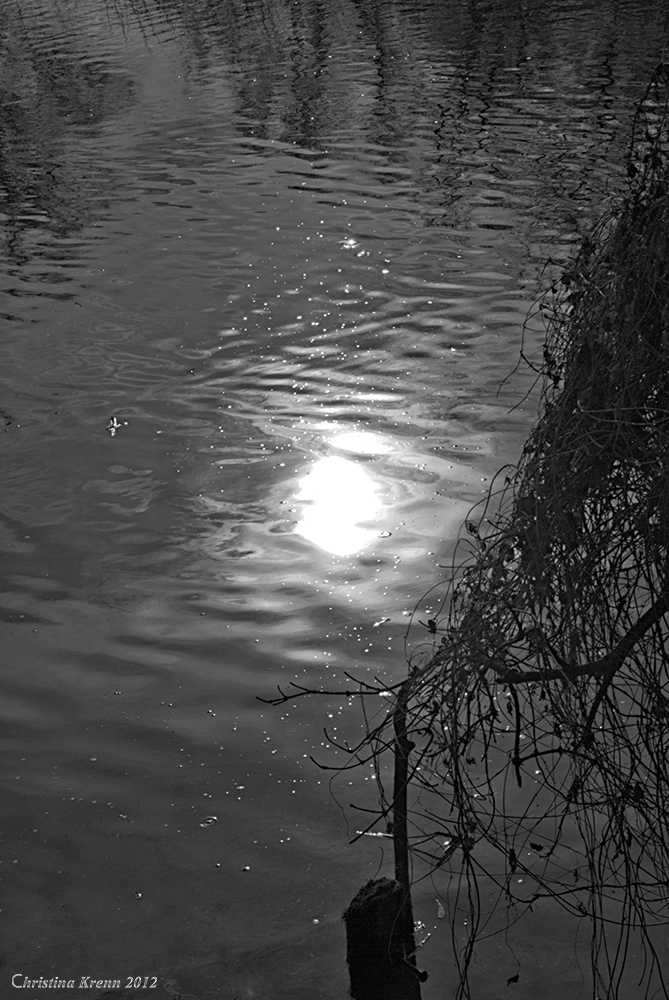 The sun in the water