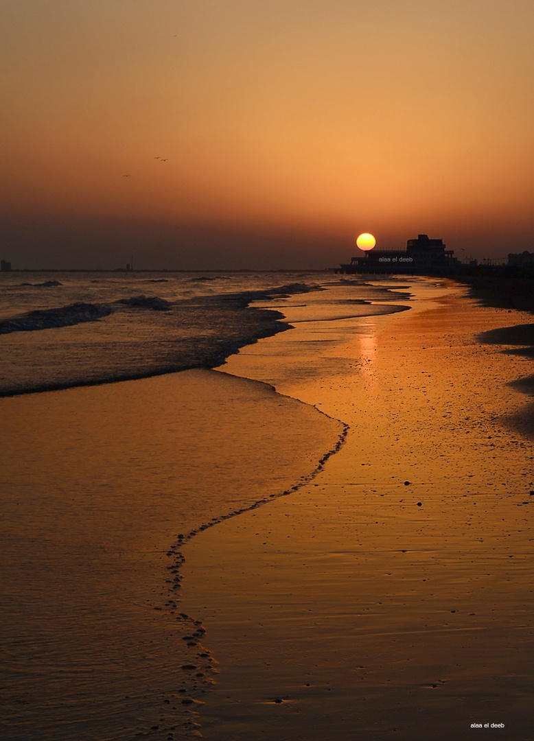 the sun of PORT SAID