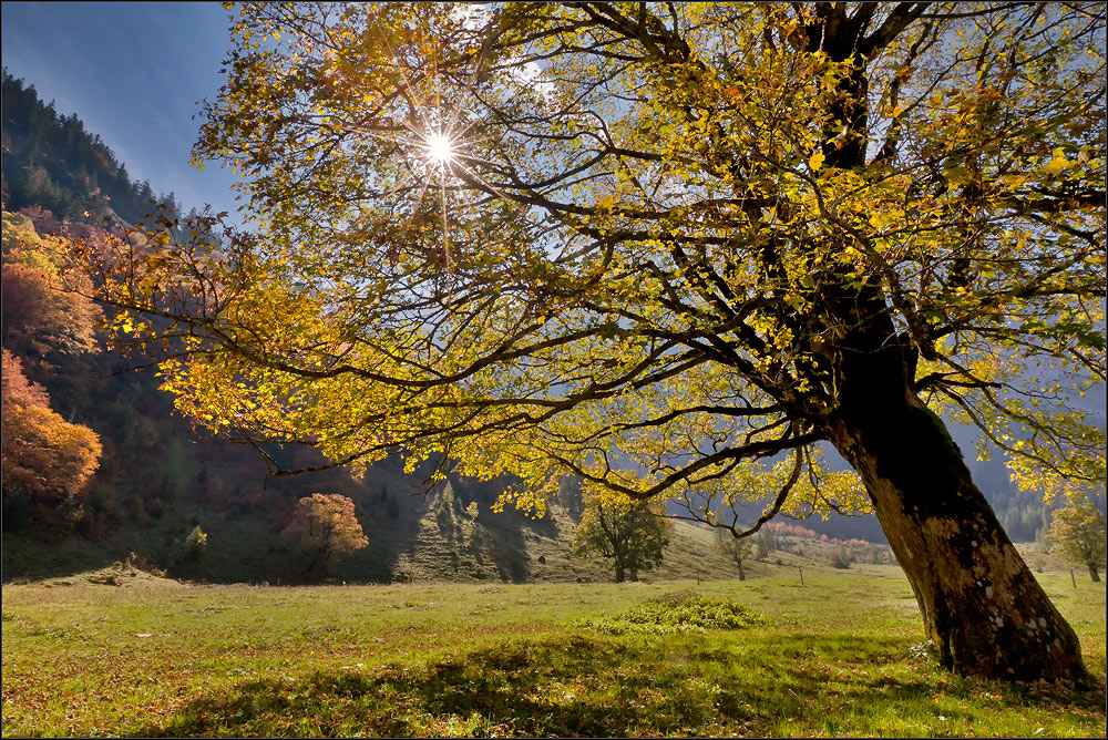 *--The sun over the maple floor--*