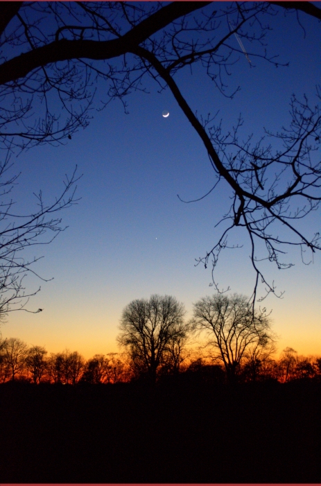 The Sun, the Moon, a Star and a Plane