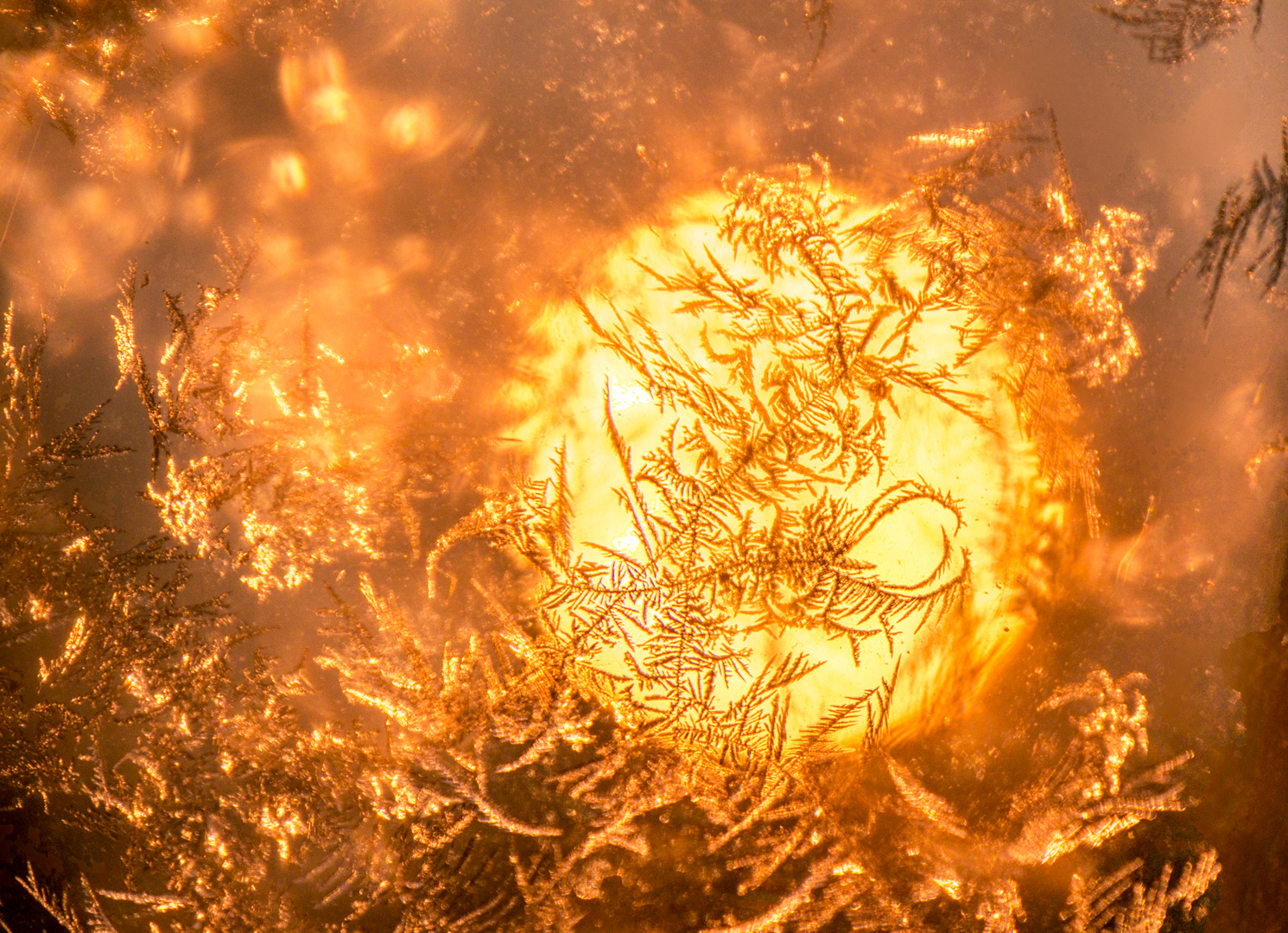 The sun through the frozen glass