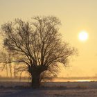 The sunrise over the first snow...