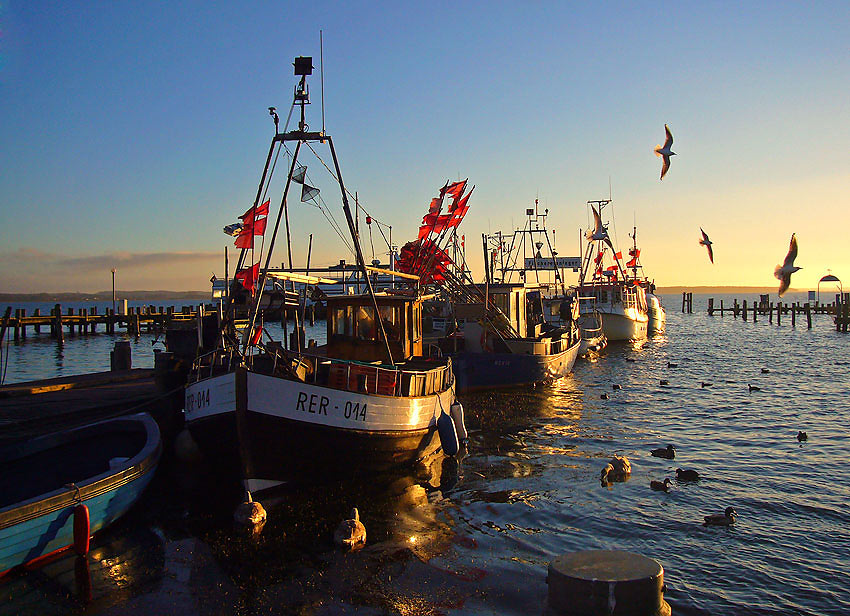 the sunset harbour