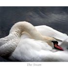 The Swan