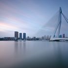 The Swan of Rotterdam