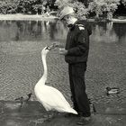 The swan´s man