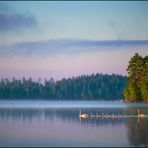 the swans of tuonela