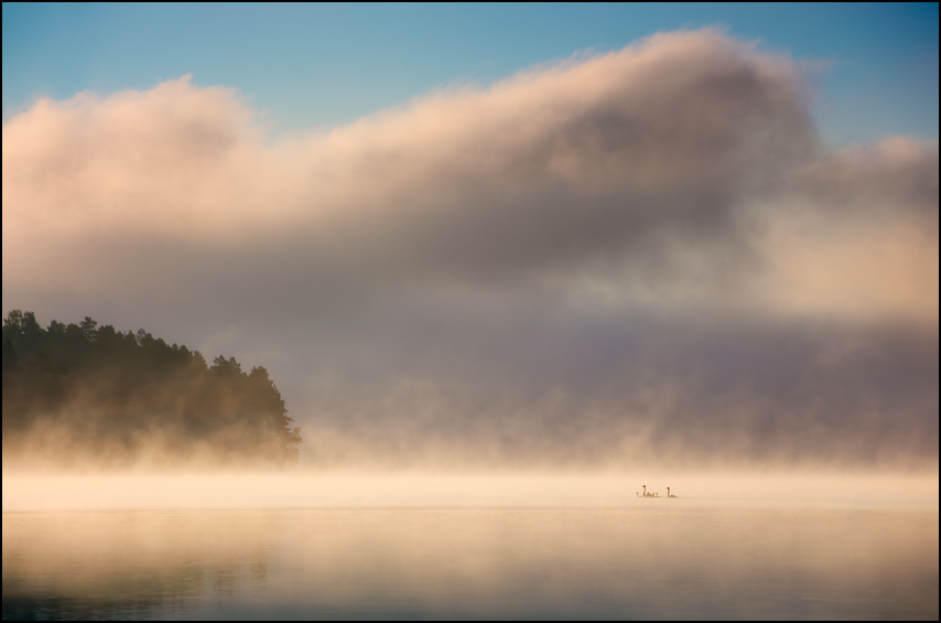 the swans of tuonela II