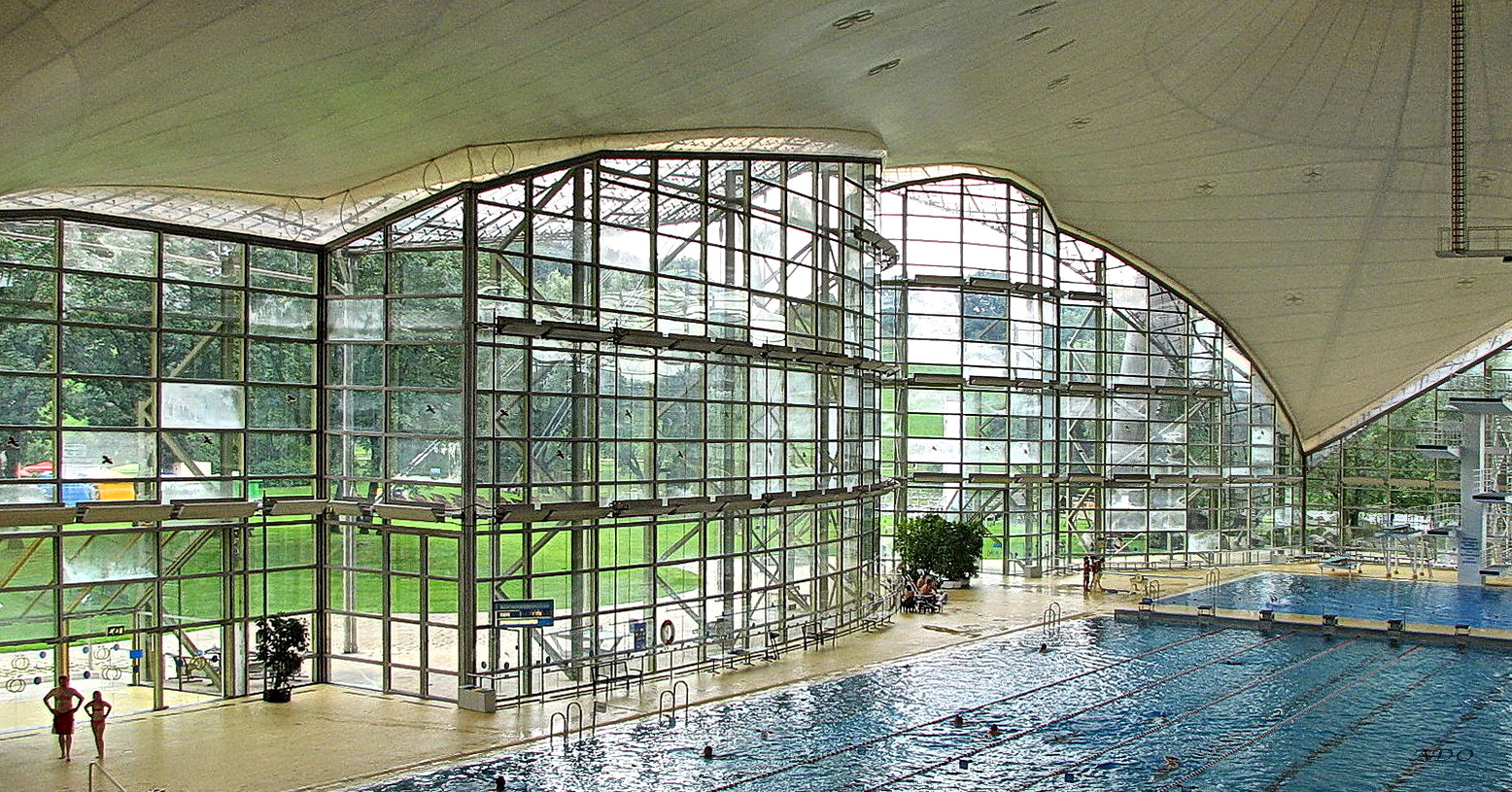 The Swimming Pool