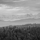 the swiss Alps with a view of the Eiger - Nordwand