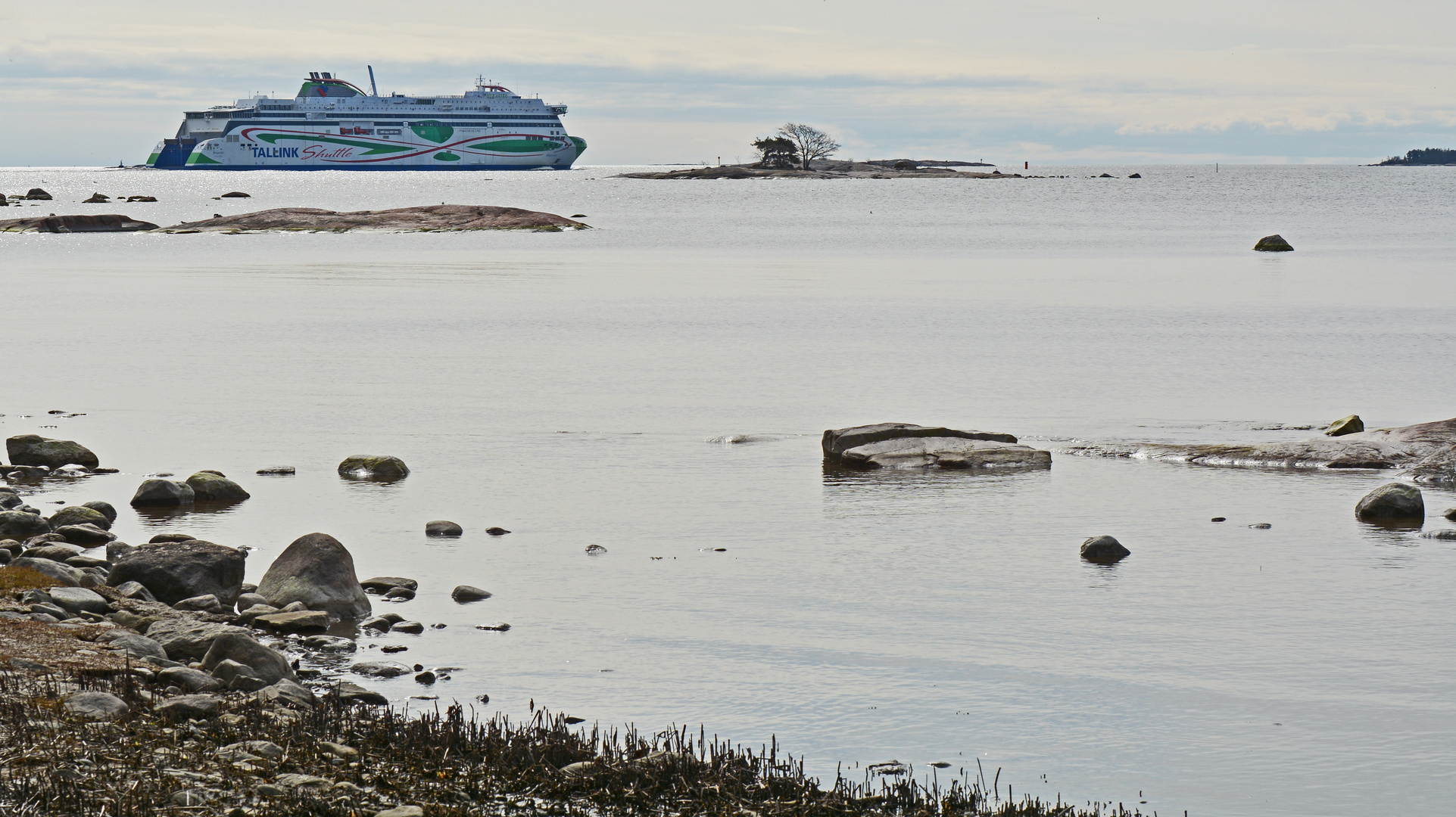 The Tallink shutle is going to Tallinna