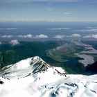 The Tasman Sea