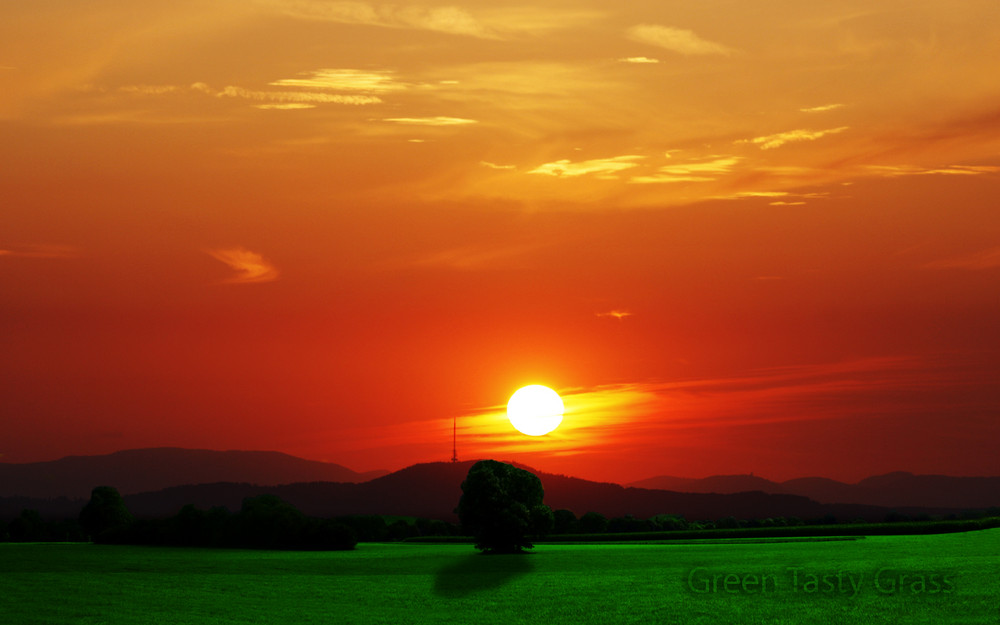 The Tasty Green Grass and the Bloodred Sky