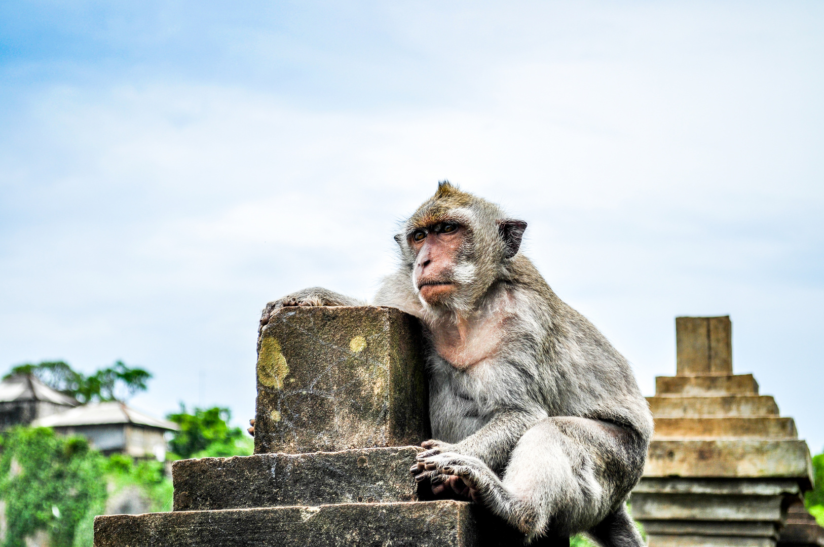 The temple's king