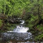 The the Hoëgne in the spring.