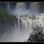 ////The 'thing' in waterfall - Foz de Iguazu ////