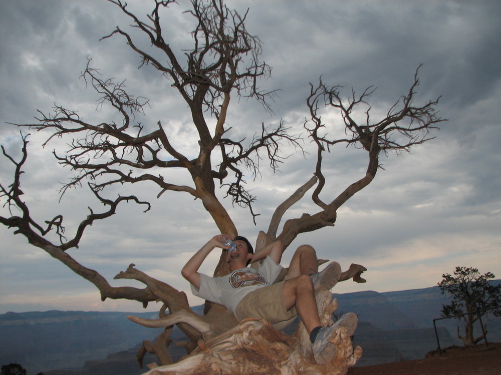 The thirst - la sete (Grand Canyon - Arizona - USA)