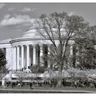 The Thomas Jefferson Memorial