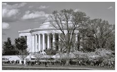 The Thomas Jefferson Memorial