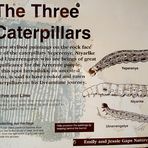 The Three Caterpillars