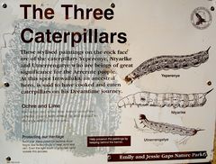 The Three Caterpillars
