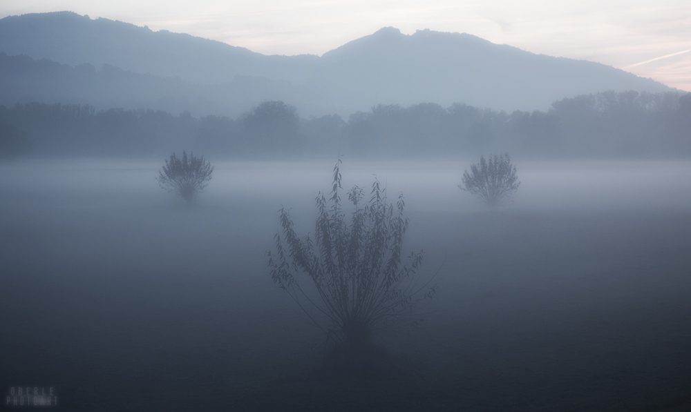 the three tree spirits