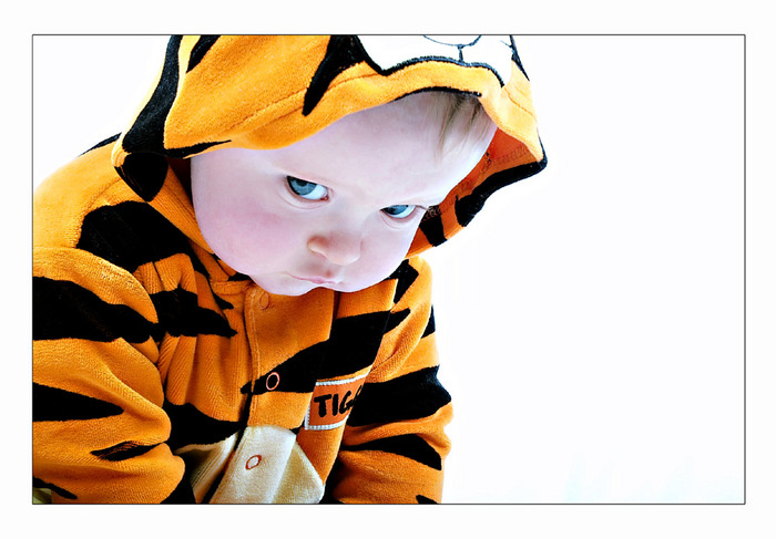 The Tigger von Nina Rehberg