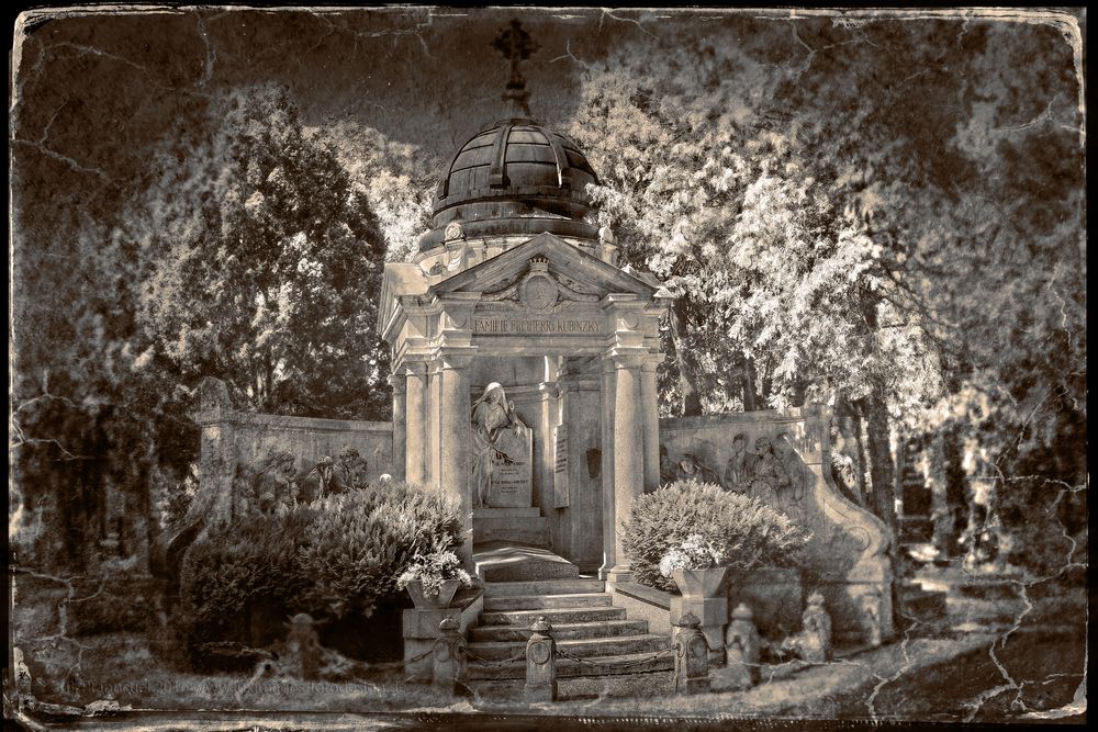 the tomb