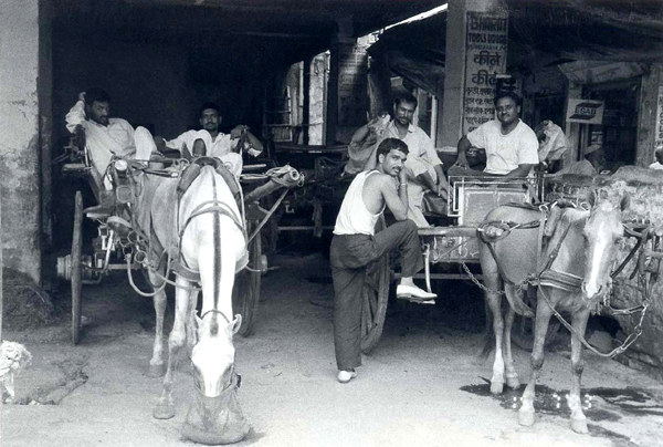 The Tongawalahs of Old Delhi