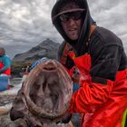 The Tonsillectomy of A Monk Fish