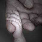 The Touch of Love
